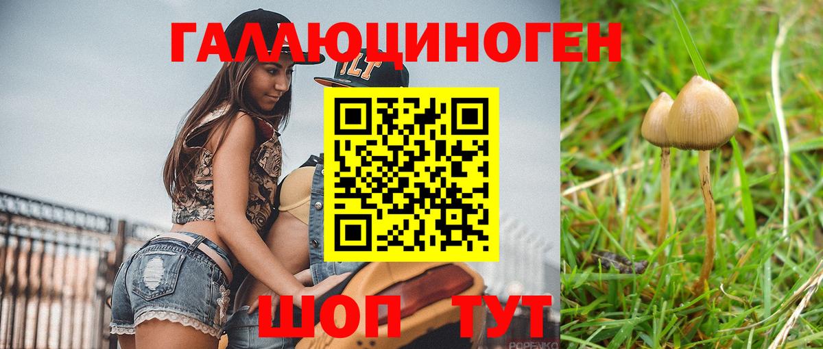 Нижнеудинск  где найти наркотики  Вход с VPN  Галлюциногенные грибы MAGIC MUSHROOMS  Галлюциногенные грибы Magic Shrooms 